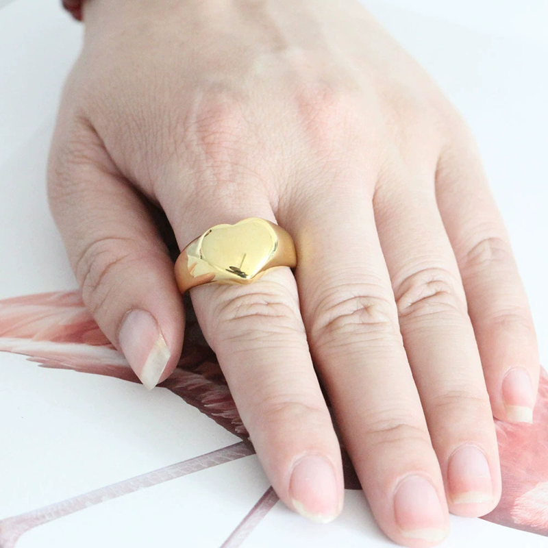 365, гладкая печатка из нержав – обзор и цена Initial Ring Custom